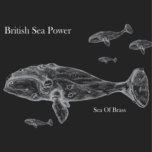 British Sea Power - Sea of Brass - LP