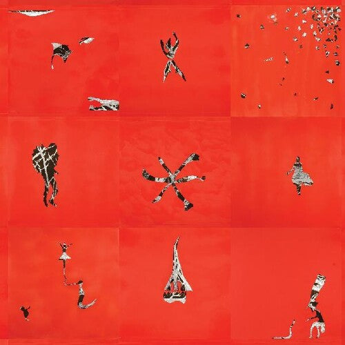 Animal Collective - Hollinndagain - LP