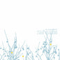 The Shins - Oh, Inverted World - LP