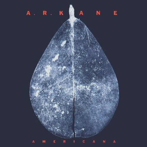 A.R. Kane - Americana - RSD LP