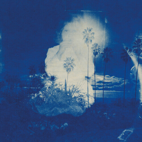 Fruit Bats -  A River Running to Your Heart - LP