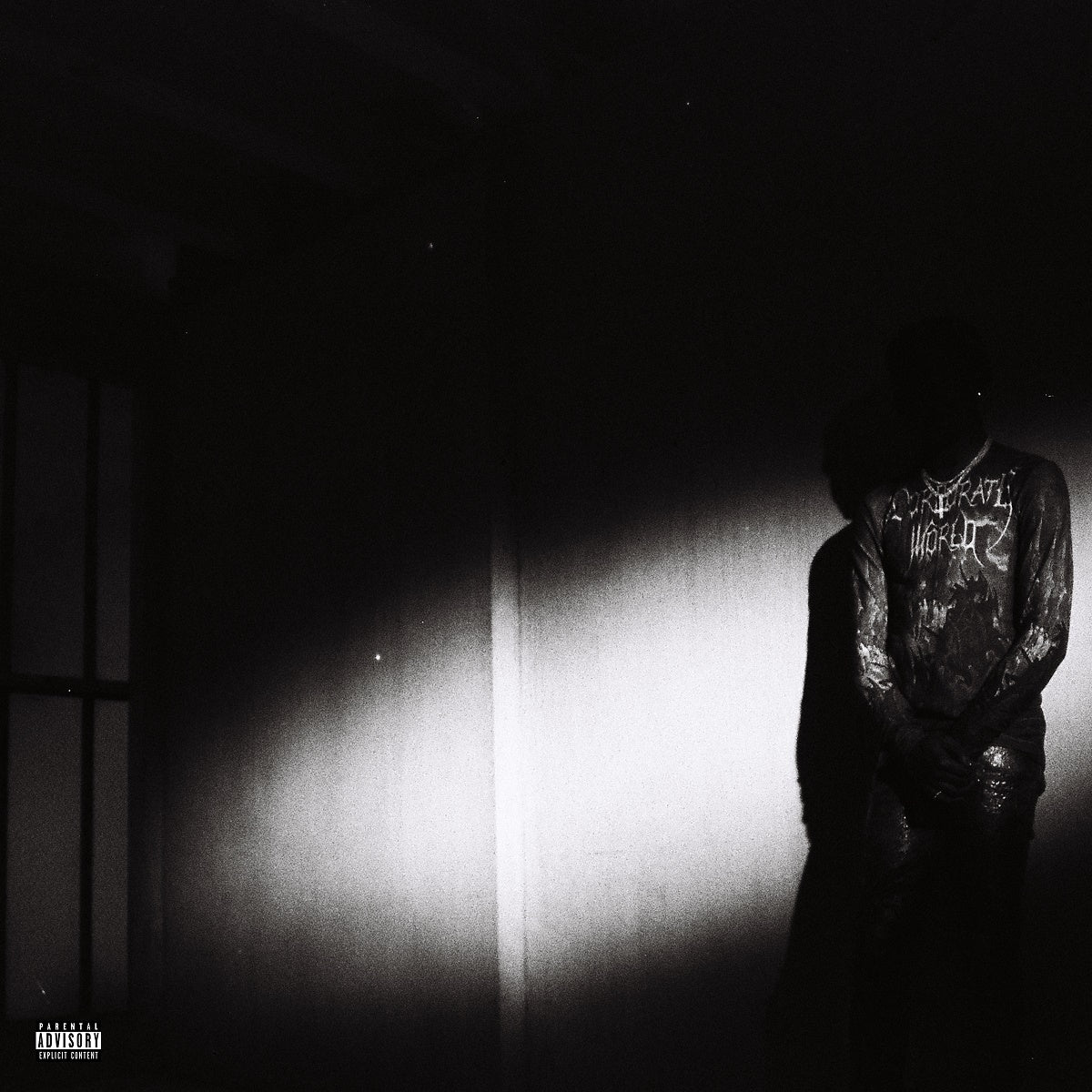 Destroy Lonely - No Stylist - LP