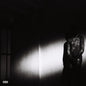 Destroy Lonely - No Stylist - LP