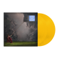 RAYE - This Music May Contain Hope - LP