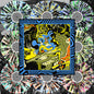 King Gizzard and the Lizard Wizard -  Live At Forest Hills Stadium '24 - Boxed Set LP