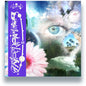 Hyperphantasia [2LP]