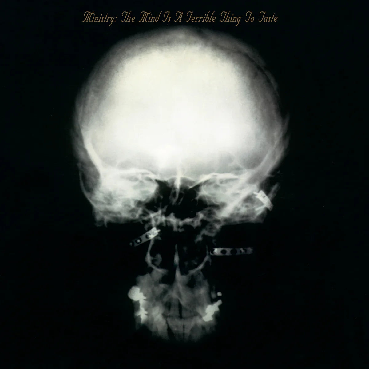 Ministry - The Mind is a Terrible Thing to Taste (Expanded) - Rocktober LP