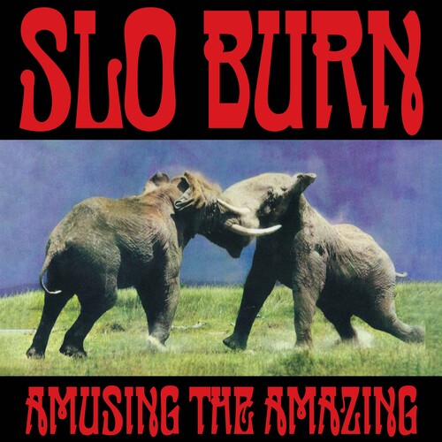 Amusing The Amazing [LP] (import)