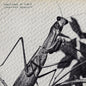 Courtney Barnett - Creature of Habit - LP