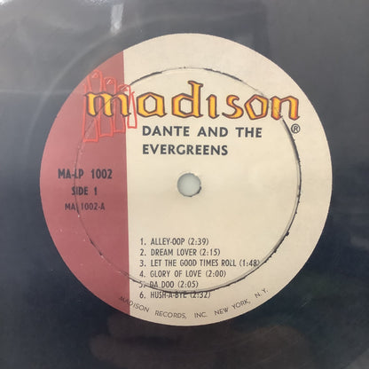 Dante and the Evergreens - self-titled - LP