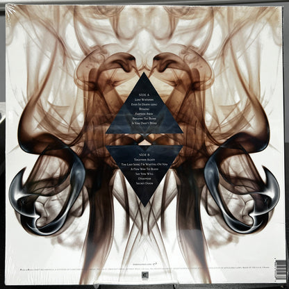 Evanescence - Lost Whispers - LP