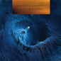 Tool - Fear Inoculum - LP Box Set