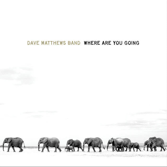 Dave Matthews Band - Where Are You Going: The Singles - LP
