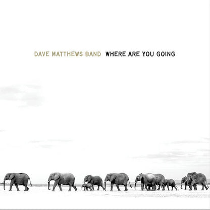 Dave Matthews Band - Where Are You Going: The Singles - LP