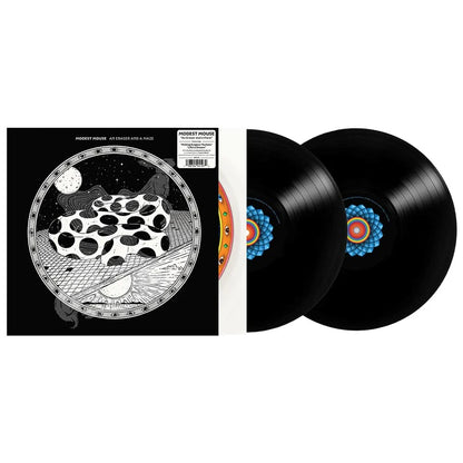 Modest Mouse - An Eraser and a Maze - LP