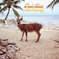 Fruit Bats - Gold Past Life - LP