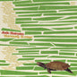 Jade Hairpins - Harmony Avenue - LP