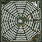Modest Mouse - Strangers to Ourselves - LP