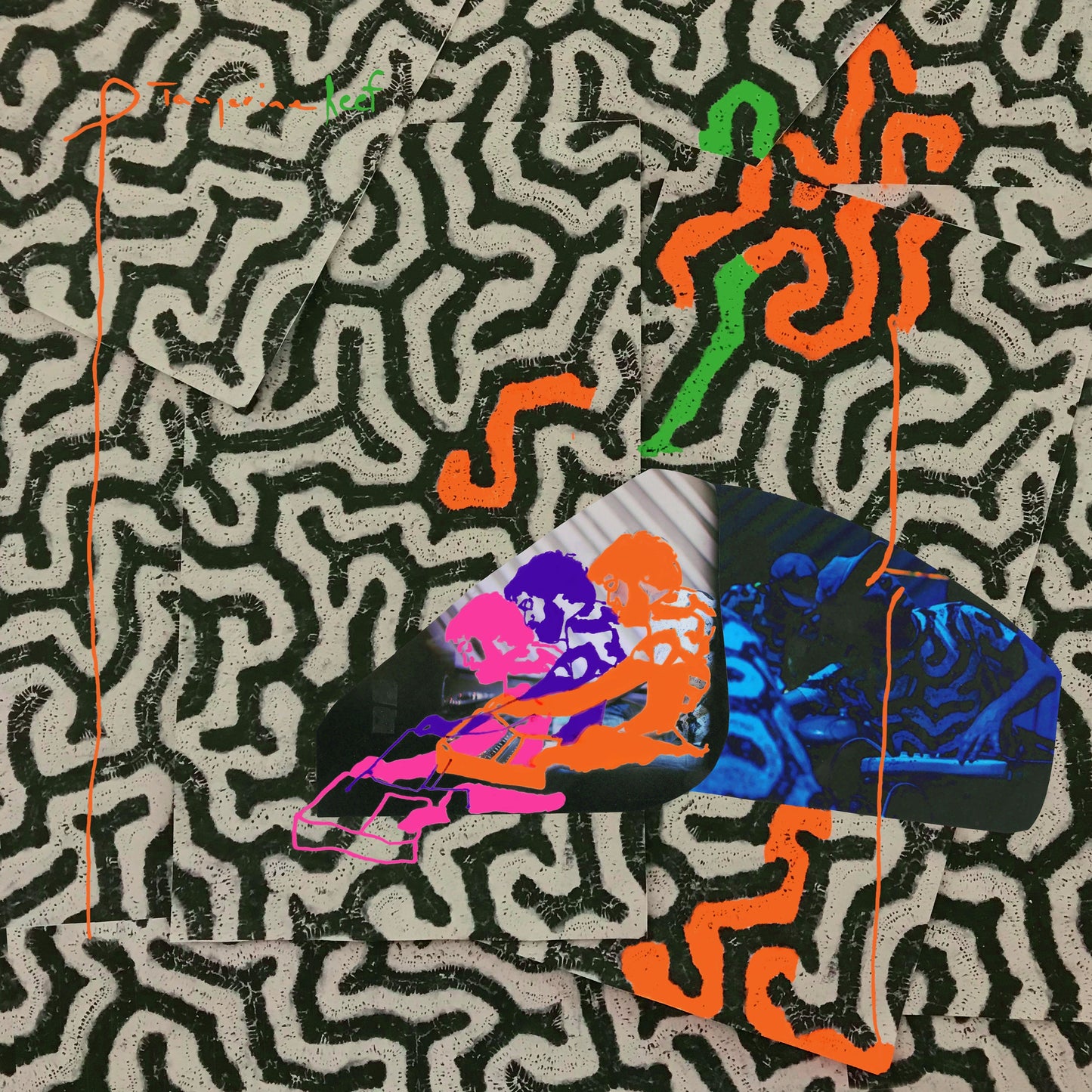 Animal Collective - Tangerine Reef - LP
