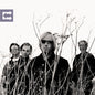 Tom Petty & The Heartbreakers - Echo - LP