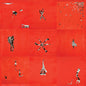 Animal Collective - Animal Collective - LP