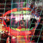 Animal Collective - Centipede HZ - LP