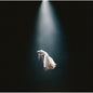 Ariana Grande - Eternal Sunshine: Deluxe Brighter Days Ahead - LP